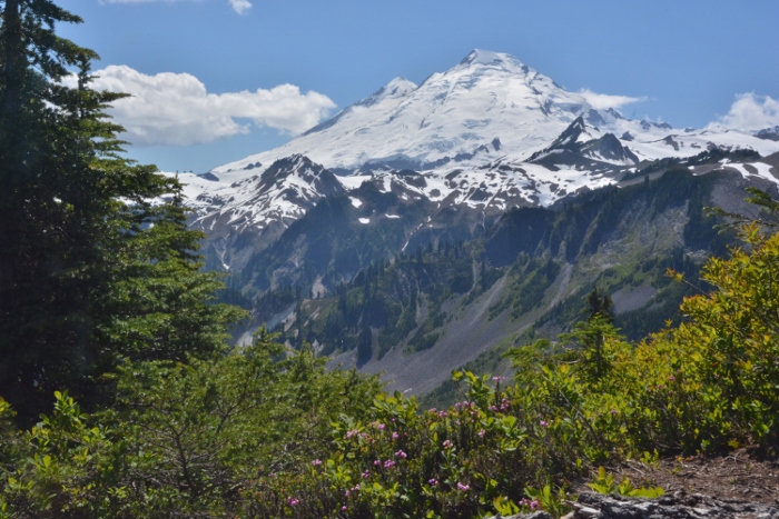 Mt. Baker